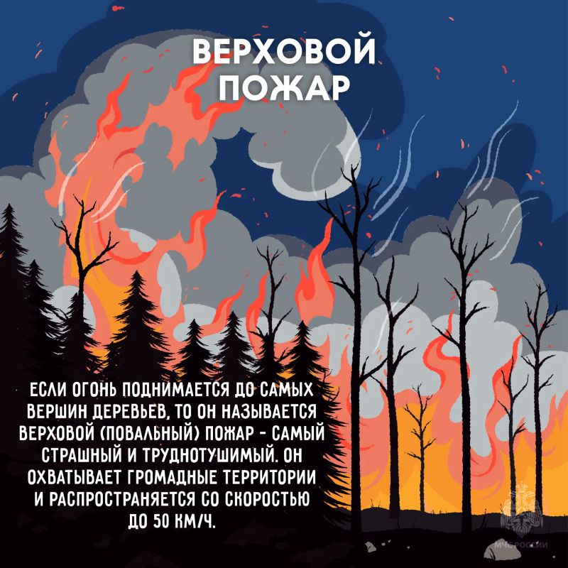 Береги лес от пожара. Огонь в лесу распространяется очень быстро, добраться до него сложнее чем в городской среде Береги лес от пожара. Огонь в лесу распространяется очень быстро, добраться до него сложнее чем в городской среде