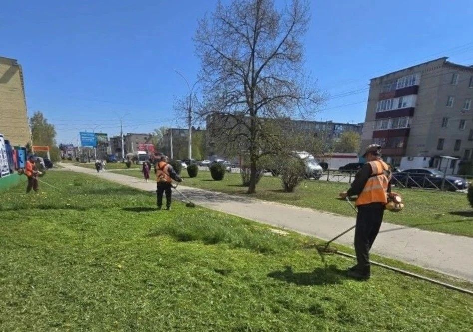 В областном центре приступили к окашиванию травы