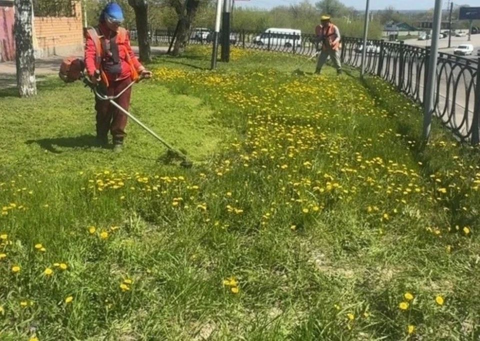 В областном центре приступили к окашиванию травы В областном центре приступили к окашиванию травы