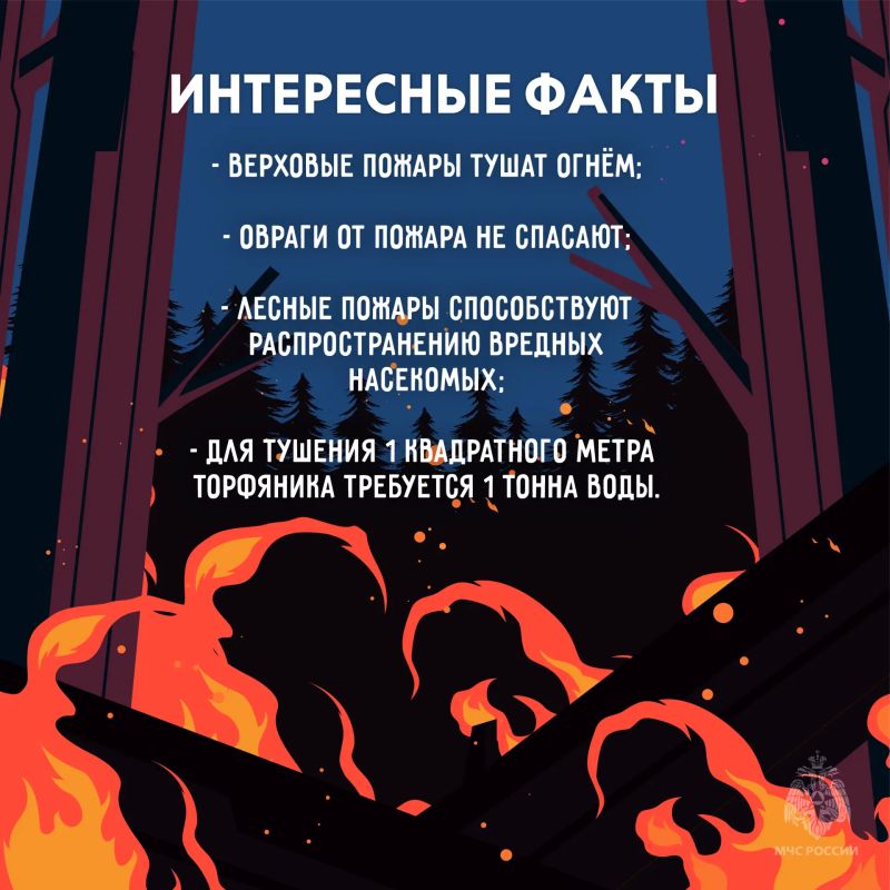 Береги лес от пожара. Огонь в лесу распространяется очень быстро, добраться до него сложнее чем в городской среде Береги лес от пожара. Огонь в лесу распространяется очень быстро, добраться до него сложнее чем в городской среде