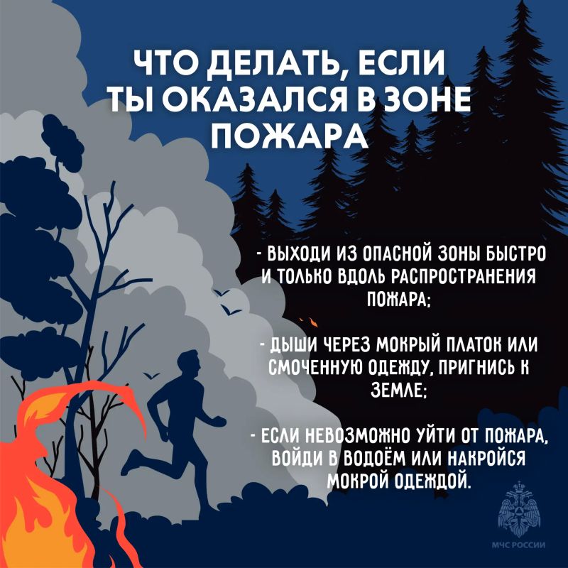 Береги лес от пожара. Огонь в лесу распространяется очень быстро, добраться до него сложнее чем в городской среде Береги лес от пожара. Огонь в лесу распространяется очень быстро, добраться до него сложнее чем в городской среде