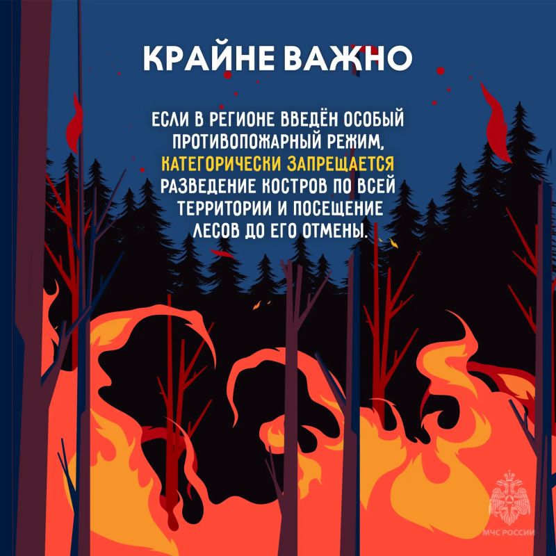 Береги лес от пожара. Огонь в лесу распространяется очень быстро, добраться до него сложнее чем в городской среде Береги лес от пожара. Огонь в лесу распространяется очень быстро, добраться до него сложнее чем в городской среде