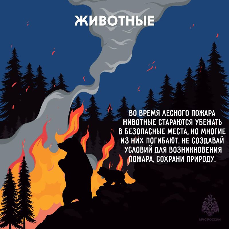 Береги лес от пожара. Огонь в лесу распространяется очень быстро, добраться до него сложнее чем в городской среде Береги лес от пожара. Огонь в лесу распространяется очень быстро, добраться до него сложнее чем в городской среде