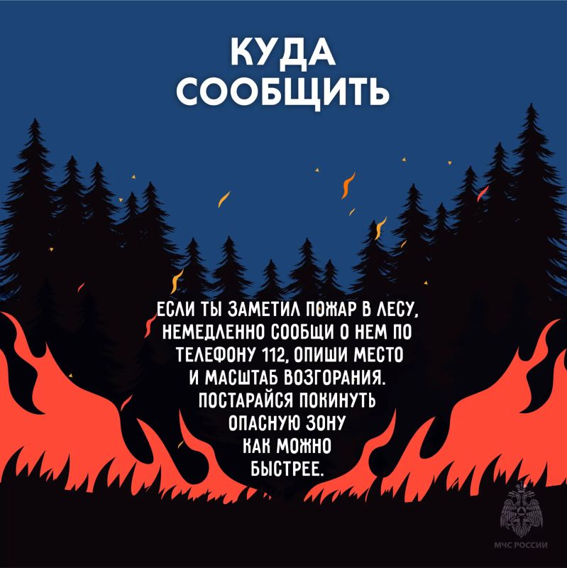 Береги лес от пожара. Огонь в лесу распространяется очень быстро, добраться до него сложнее чем в городской среде Береги лес от пожара. Огонь в лесу распространяется очень быстро, добраться до него сложнее чем в городской среде