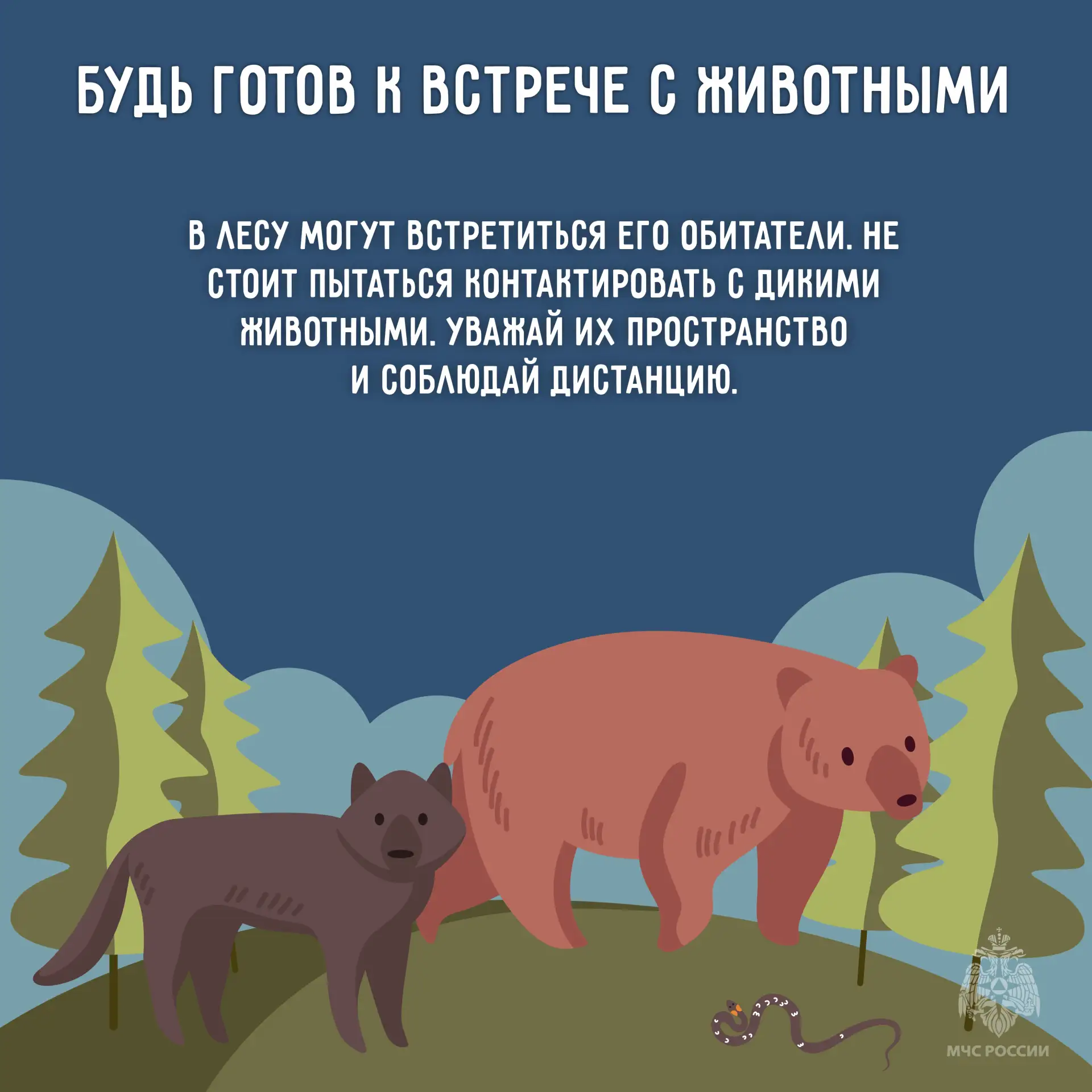 Весна — время открытий. Если собрался в путешествие, тем более в лес необходимо помнить о своей безопасности Весна — время открытий. Если собрался в путешествие, тем более в лес необходимо помнить о своей безопасности