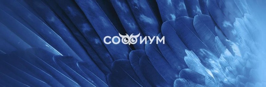 «Софиум»: путь финалистов»