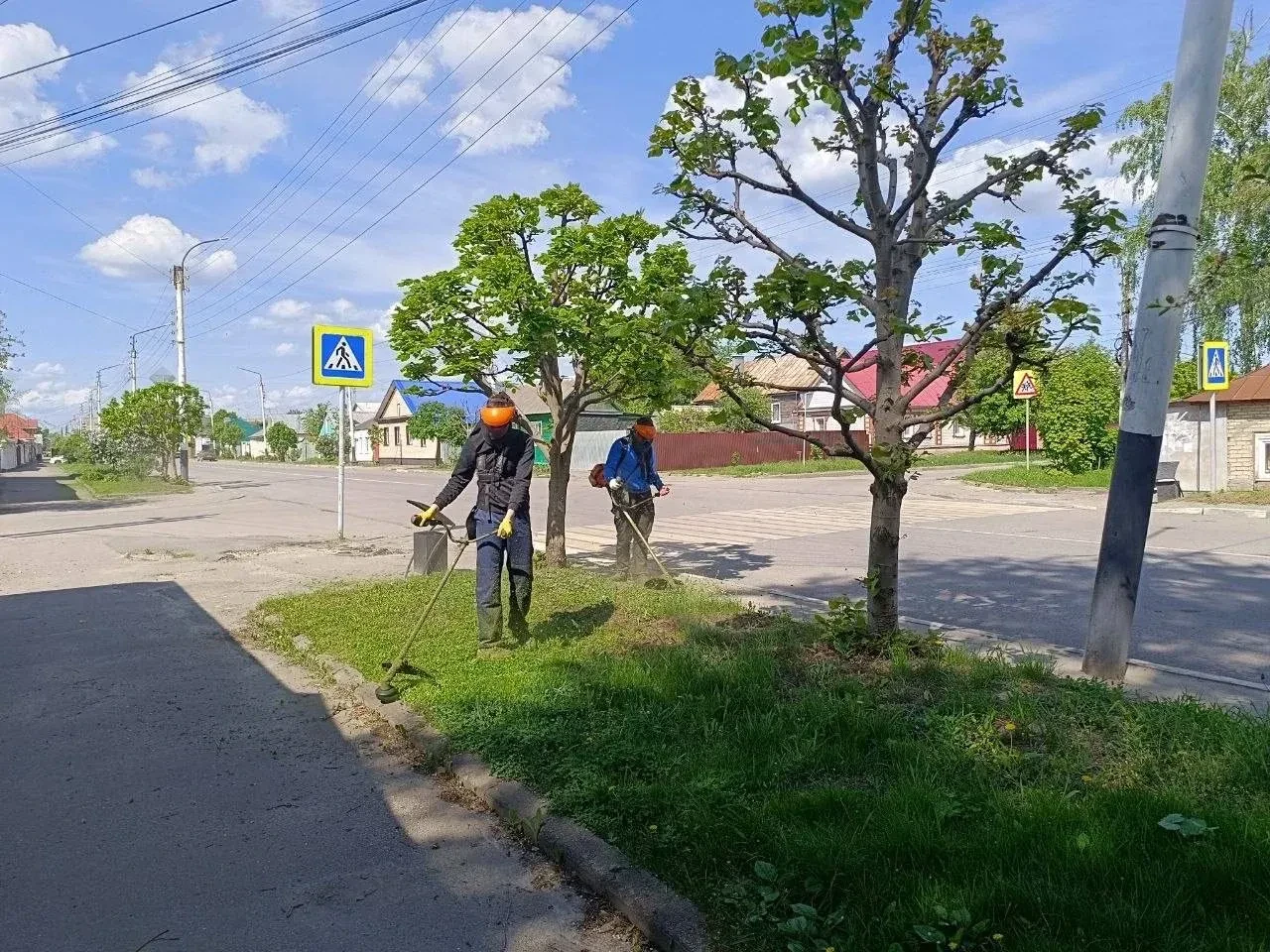 Своевременный покос травы - одна из главных задач городских служб Своевременный покос травы - одна из главных задач городских служб