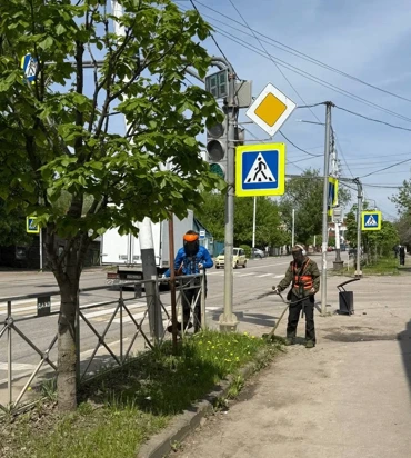 Своевременный покос травы - одна из главных задач городских служб Своевременный покос травы - одна из главных задач городских служб