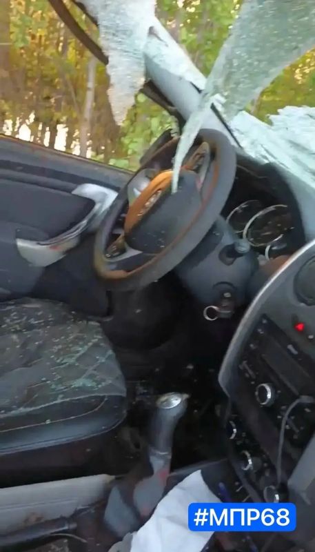 Молодая самка лося погибла в ДТП в Тамбовской области Молодая самка лося погибла в ДТП в Тамбовской области