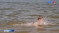 Солнце греет — вода зовёт. Всё больше тамбовчан устремляются к водоемам, чтобы пережить аномальную майскую жару, несмотря на то что пляжи пока еще официально не открыты