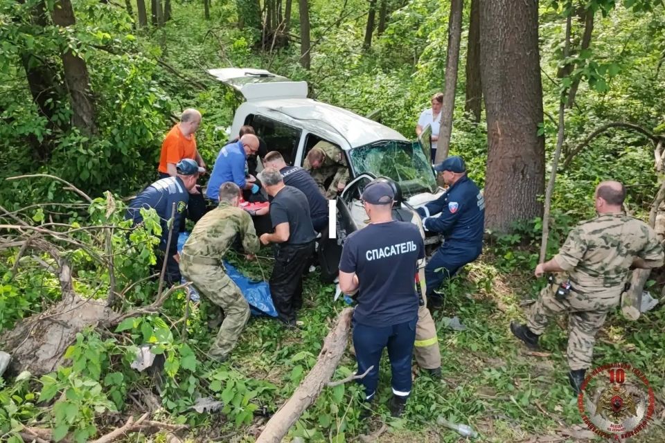 Росгвардейцы пришли на помощь пострадавшей в ДТП женщине