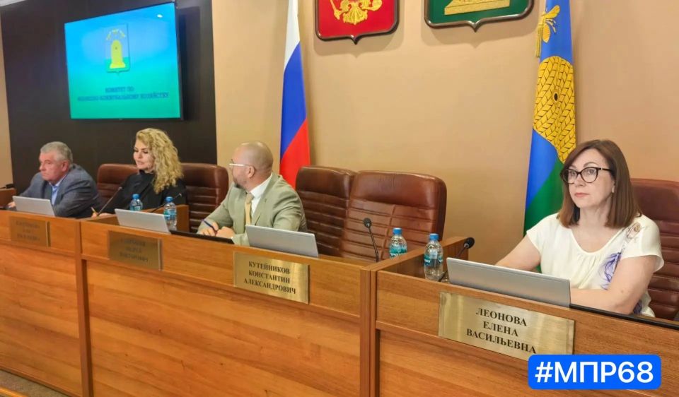 Дмитрий Сомов обозначил основные причины подтопления территории домов по проезду Энергетиков Дмитрий Сомов обозначил основные причины подтопления территории домов по проезду Энергетиков