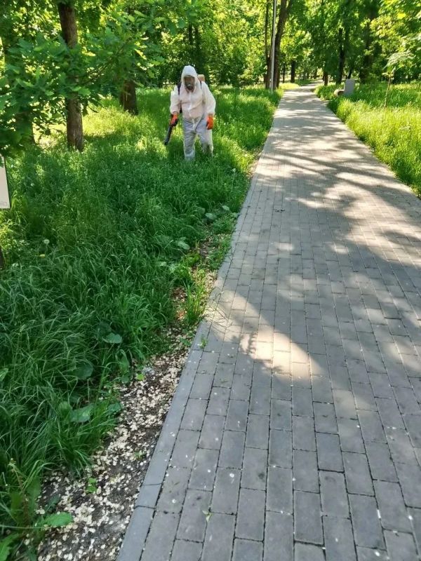 В Тамбове Пионерский парк и Ахлебиновскую рощу обработали от клещей