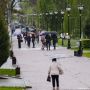 В Тамбове на выходных потепление сменится грозами