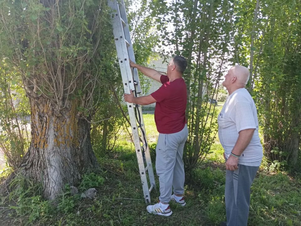 Операцию по спасению совят провели в уваровском доме-интернате Операцию по спасению совят провели в уваровском доме-интернате
