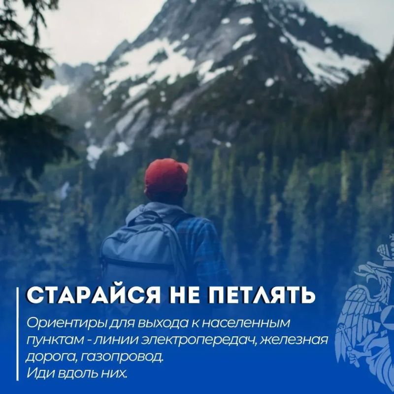 Безопасный поход. Читай в нашей памятке: что делать, если потерялся в лесу Безопасный поход. Читай в нашей памятке: что делать, если потерялся в лесу
