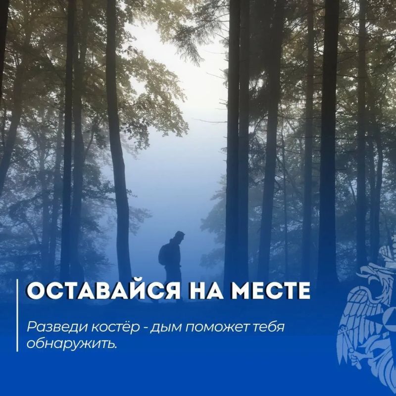 Безопасный поход. Читай в нашей памятке: что делать, если потерялся в лесу Безопасный поход. Читай в нашей памятке: что делать, если потерялся в лесу