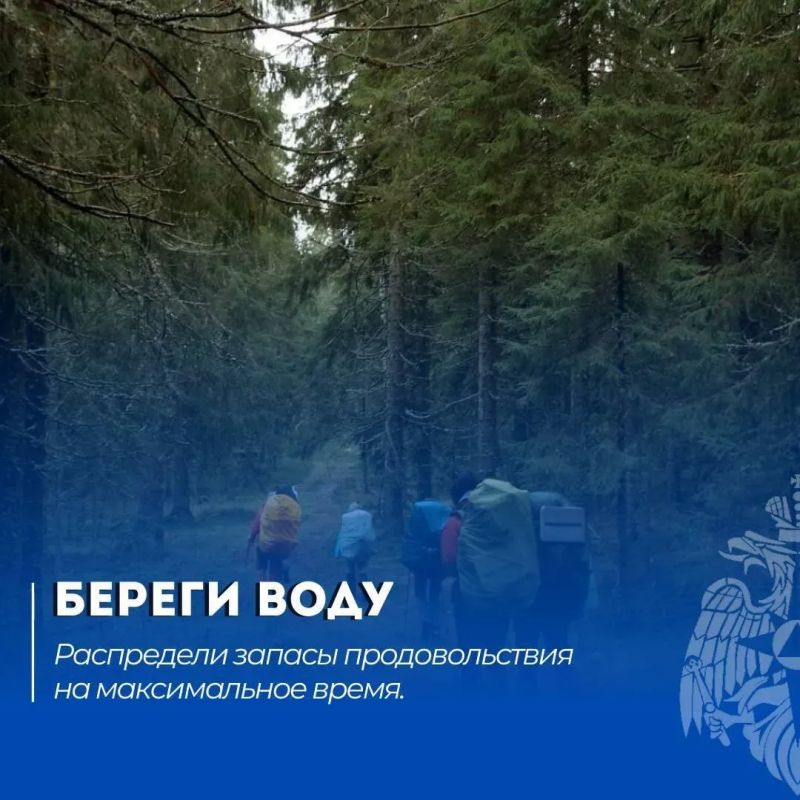 Безопасный поход. Читай в нашей памятке: что делать, если потерялся в лесу Безопасный поход. Читай в нашей памятке: что делать, если потерялся в лесу