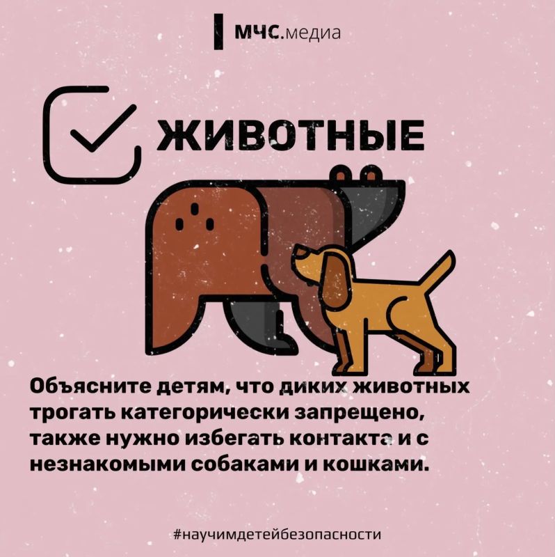 Отдых на даче. На даче много факторов риска Отдых на даче. На даче много факторов риска