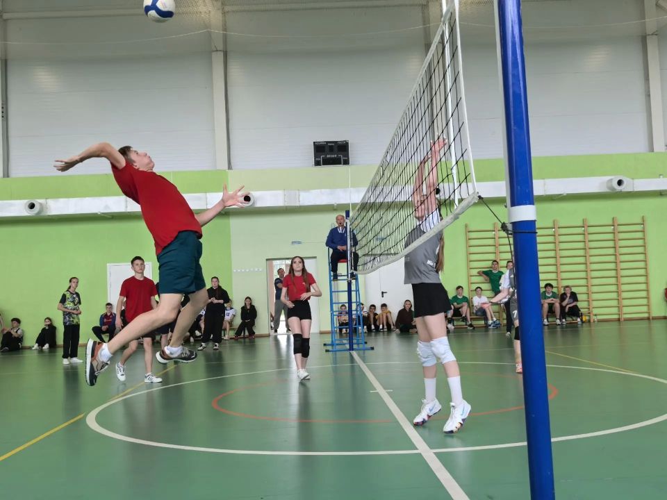 Сила, ловкость, смелость: выбрана команда школьников, которая представит Тамбовскую область в финале «Президентских спортивных игр» Сила, ловкость, смелость: выбрана команда школьников, которая представит Тамбовскую область в финале «Президентских спортивных игр»
