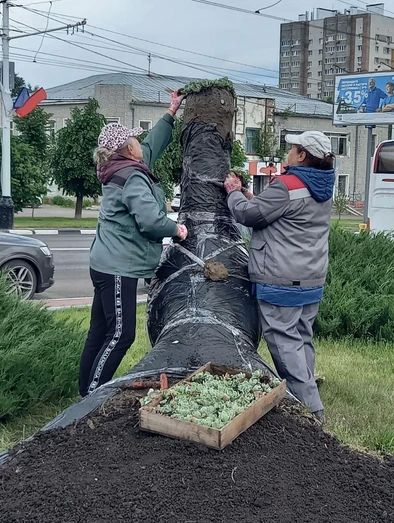 У «Знаменки» снова распустил свой хвост Цветочный павлин У «Знаменки» снова распустил свой хвост Цветочный павлин