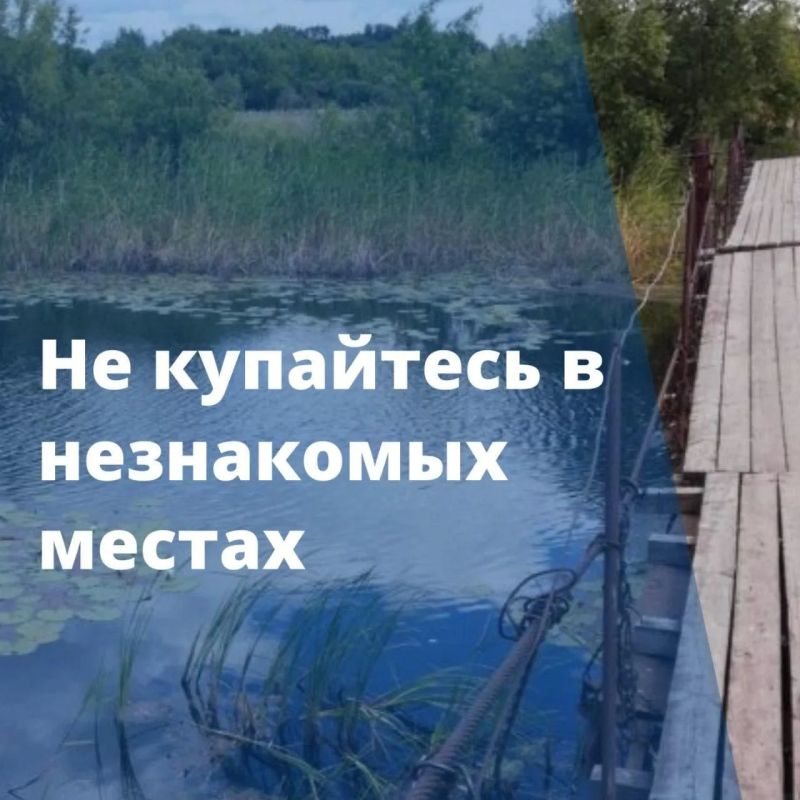 В Тамбове официально стартовал купальный сезон В Тамбове официально стартовал купальный сезон
