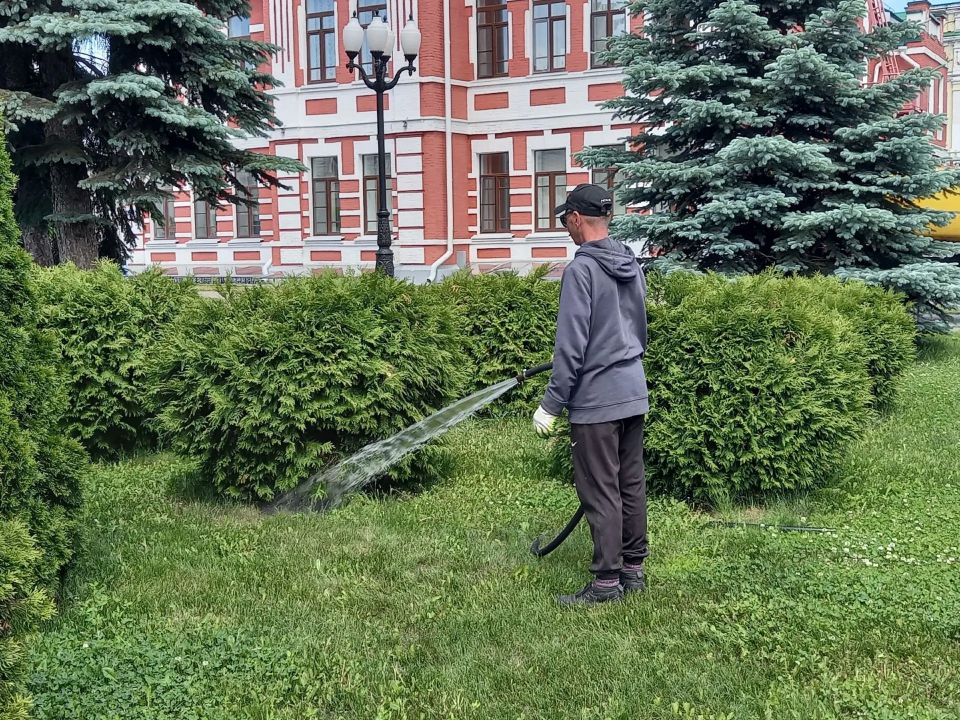 Клумба в виде улья с тремя пчелами - герба Тамбова давно стала достопримечательностью Набережной Клумба в виде улья с тремя пчелами - герба Тамбова давно стала достопримечательностью Набережной