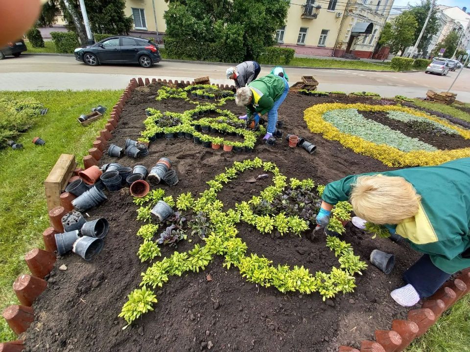 Клумба в виде улья с тремя пчелами - герба Тамбова давно стала достопримечательностью Набережной Клумба в виде улья с тремя пчелами - герба Тамбова давно стала достопримечательностью Набережной