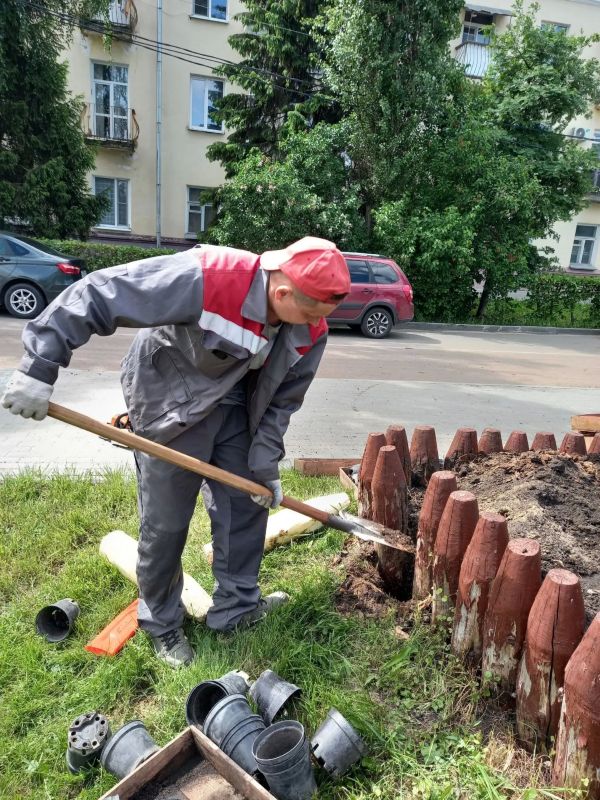 Клумба в виде улья с тремя пчелами - герба Тамбова давно стала достопримечательностью Набережной Клумба в виде улья с тремя пчелами - герба Тамбова давно стала достопримечательностью Набережной