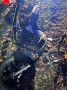 В Моршанском округе мотоциклист сбил пешехода
