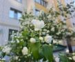 Доброе утро, Тамбов!. Во вторник ожидается переменная облачность