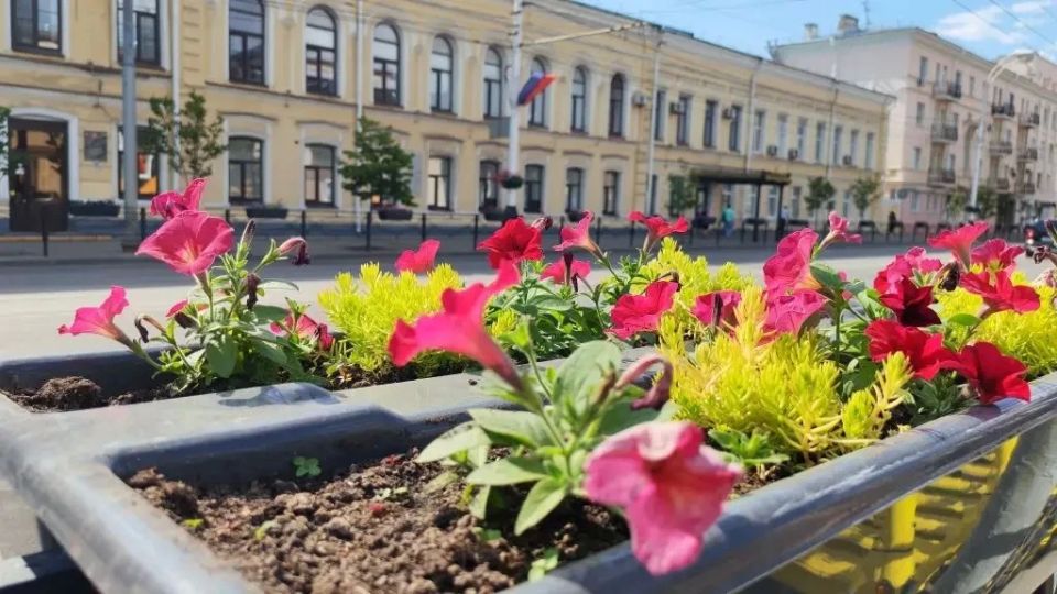 Максим Косенков: Продолжаем летнее цветочное оформление городских пространств Максим Косенков: Продолжаем летнее цветочное оформление городских пространств