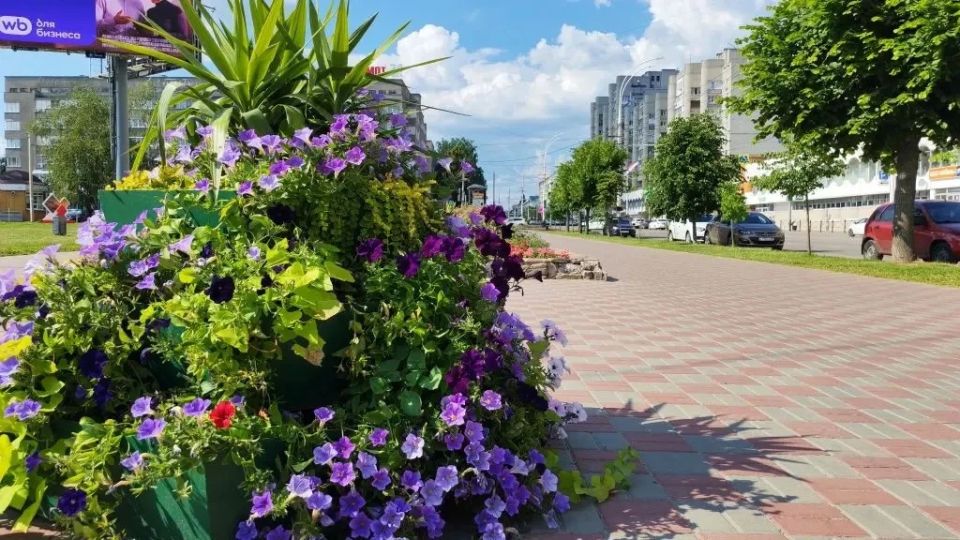 Максим Косенков: Продолжаем летнее цветочное оформление городских пространств Максим Косенков: Продолжаем летнее цветочное оформление городских пространств