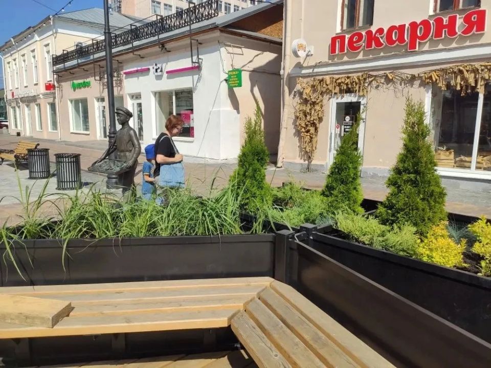 Максим Косенков: Продолжаем летнее цветочное оформление городских пространств Максим Косенков: Продолжаем летнее цветочное оформление городских пространств