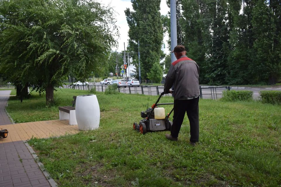Формовочная стрижка кустарников в парках и скверах — ежедневный пункт в плане работ Дирекции благоустройства и озеленения Тамбова Формовочная стрижка кустарников в парках и скверах — ежедневный пункт в плане работ Дирекции благоустройства и озеленения Тамбова