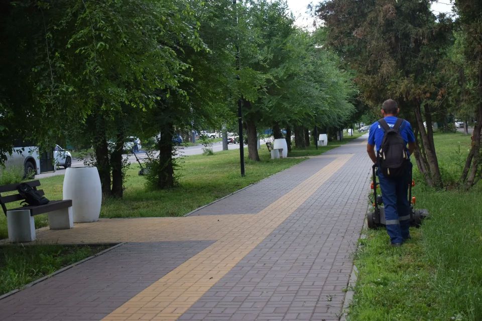 Формовочная стрижка кустарников в парках и скверах — ежедневный пункт в плане работ Дирекции благоустройства и озеленения Тамбова Формовочная стрижка кустарников в парках и скверах — ежедневный пункт в плане работ Дирекции благоустройства и озеленения Тамбова