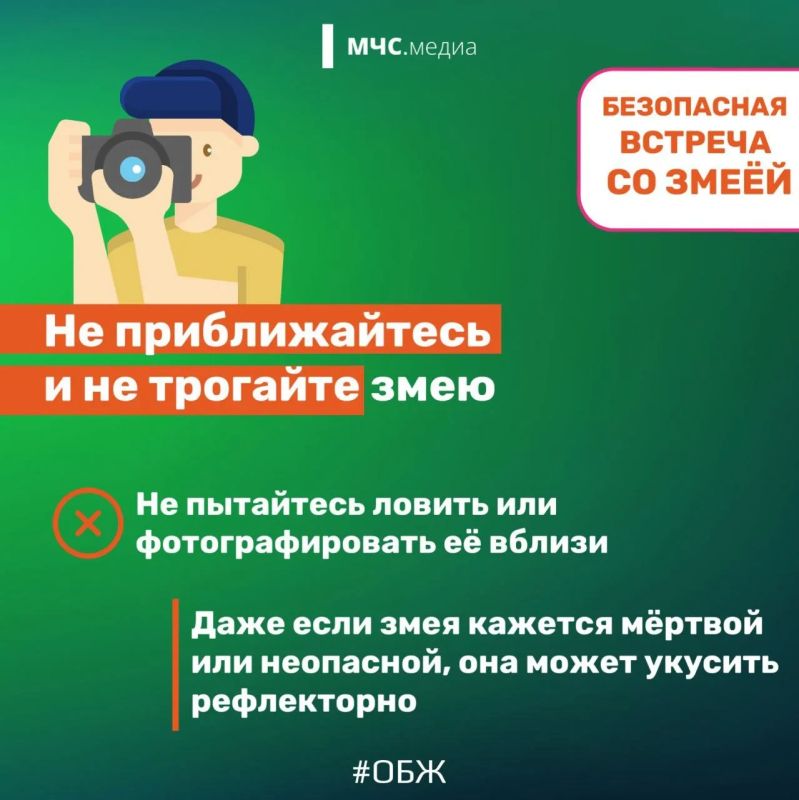 МЧС напомнило тамбовчанам правила поведения при встрече со змеями МЧС напомнило тамбовчанам правила поведения при встрече со змеями