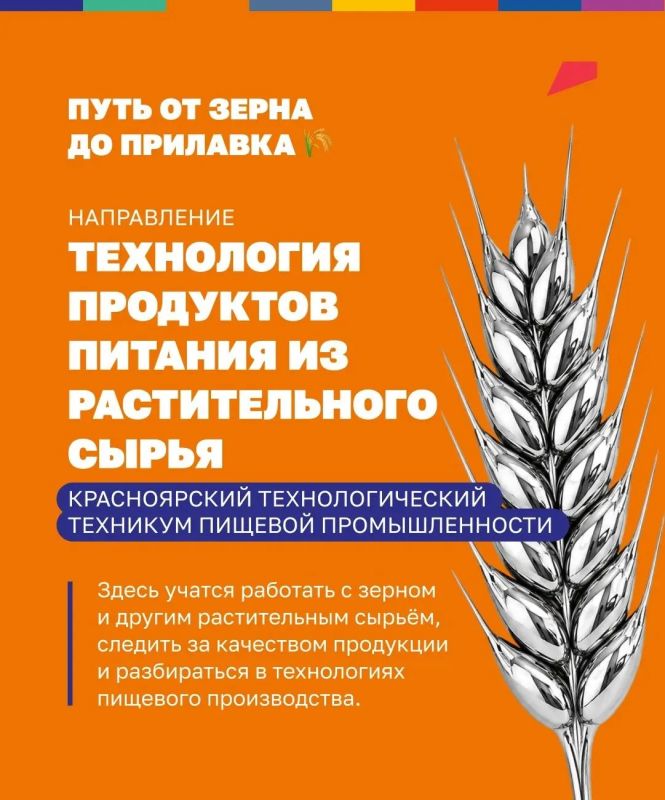 Сила муки, фламбирование, темперирование — звучит как набор случайных слов Но для студентов «Профессионалитета» это часть будущей профессии Сила муки, фламбирование, темперирование — звучит как набор случайных слов Но для студентов «Профессионалитета» это часть будущей профессии