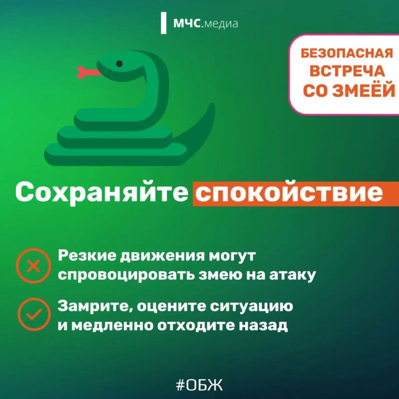 МЧС напомнило тамбовчанам правила поведения при встрече со змеями МЧС напомнило тамбовчанам правила поведения при встрече со змеями
