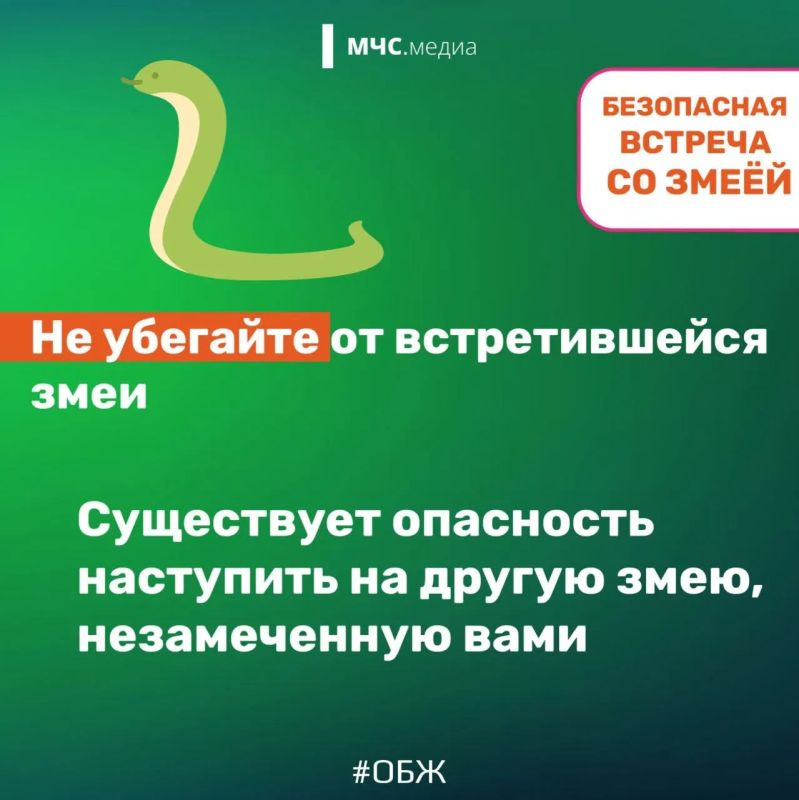МЧС напомнило тамбовчанам правила поведения при встрече со змеями МЧС напомнило тамбовчанам правила поведения при встрече со змеями