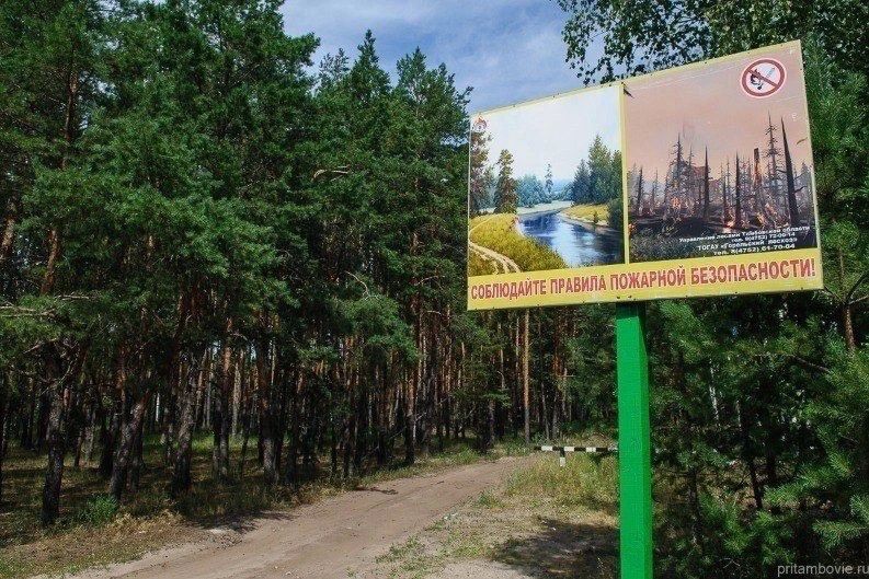 В Тамбовской области до октября действует особый противопожарный режим