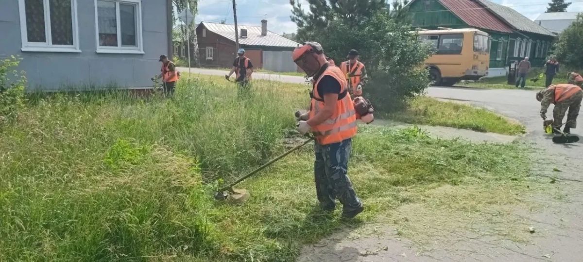 Сорная растительность не дремлет, но и коммунальные службы не отстают Сорная растительность не дремлет, но и коммунальные службы не отстают