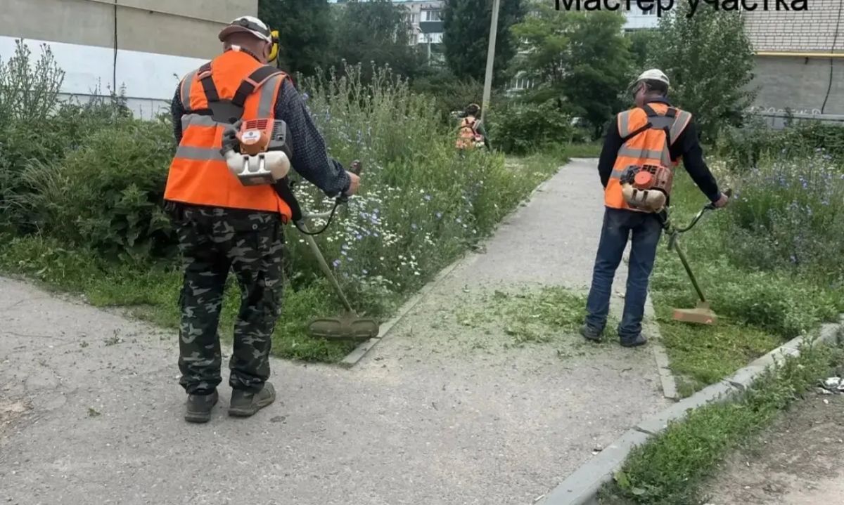 Сорная растительность не дремлет, но и коммунальные службы не отстают Сорная растительность не дремлет, но и коммунальные службы не отстают
