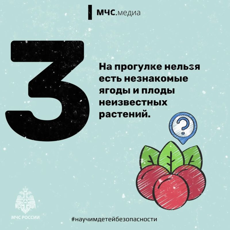 Правила безопасного поведения в детском лагере Правила безопасного поведения в детском лагере