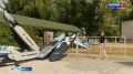 Все больше тамбовчан выбирают провести это лето на сапбордах