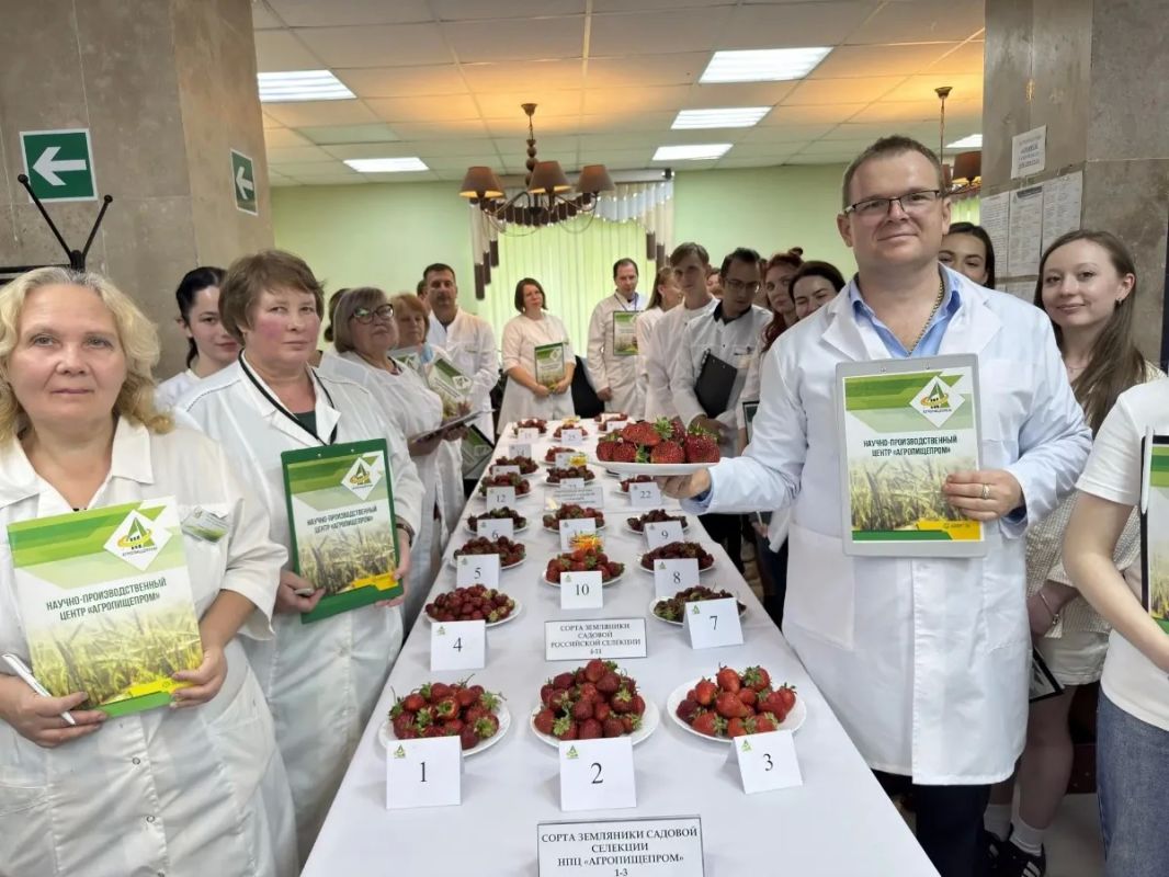 Учёные из Мичуринска вывели новые элитные формы земляники