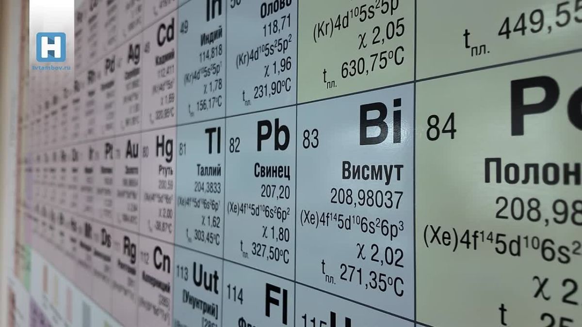 Выпускница из Тамбова Екатерина Дёмина рассказала, как ей удалось получить 200 баллов на ЕГЭ