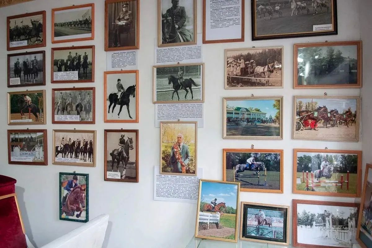 В Тамбовской области дали старт мероприятиям к 100-летию Олимпийского чемпиона по конному спорту Сергея Филатова В Тамбовской области дали старт мероприятиям к 100-летию Олимпийского чемпиона по конному спорту Сергея Филатова