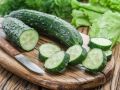 Выращивание рассады огурцов: почему опилки лучше традиционного грунта