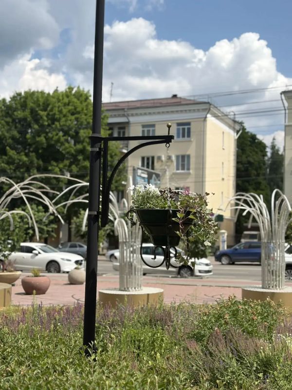 Дирекция благоустройства и озеленения дополнительно украсила городские пространства: в сквере «Рассвет» и «Первомайский» появилось 50 новых подвесных кашпо Дирекция благоустройства и озеленения дополнительно украсила городские пространства: в сквере «Рассвет» и «Первомайский» появилось 50 новых подвесных кашпо
